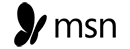 MSN Logo