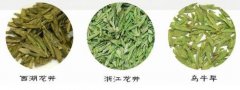 乌牛早和龙井茶的区别有哪些