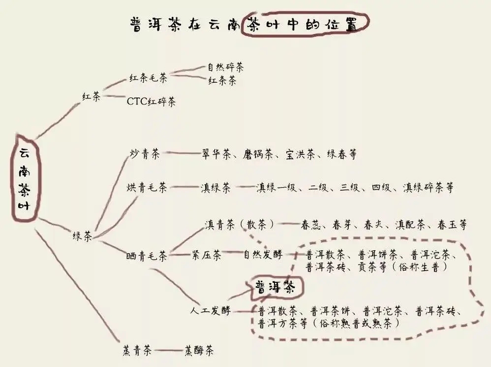 朱元璋“罢造龙团”，散茶崛起，普洱茶特立独