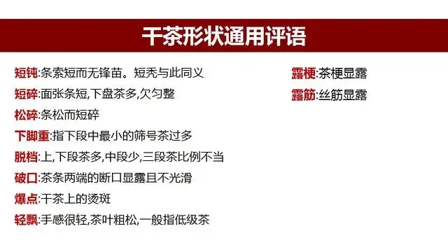 高级茶评员总结的评茶术语系列1：干茶形状，不