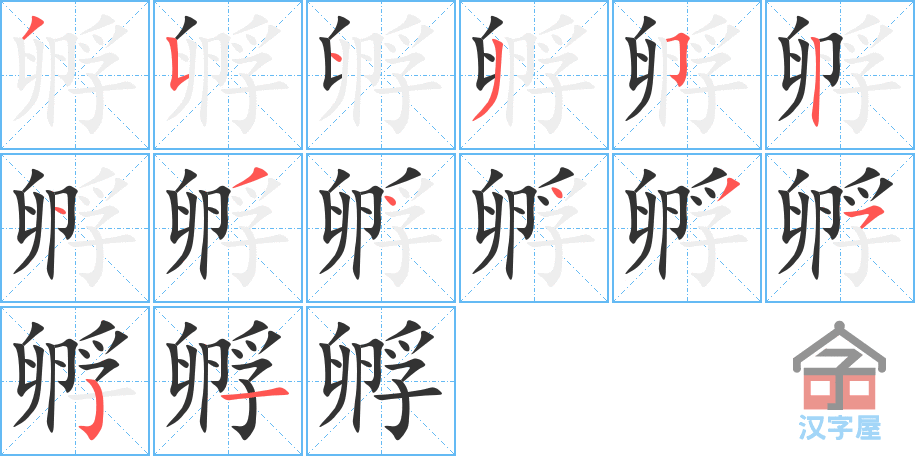 《孵》的笔顺分步演示（一笔一画写字）