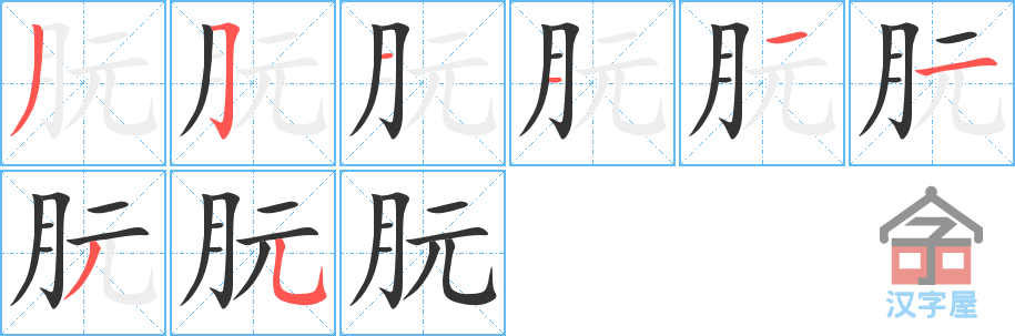 《朊》的笔顺分步演示（一笔一画写字）