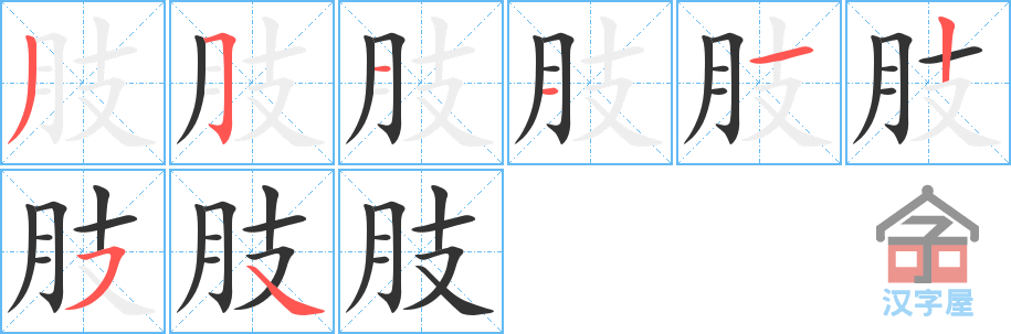 《肢》的笔顺分步演示（一笔一画写字）